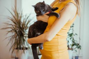 Toxoplazmóza v těhotenství: Opravdu muset část s kočkou